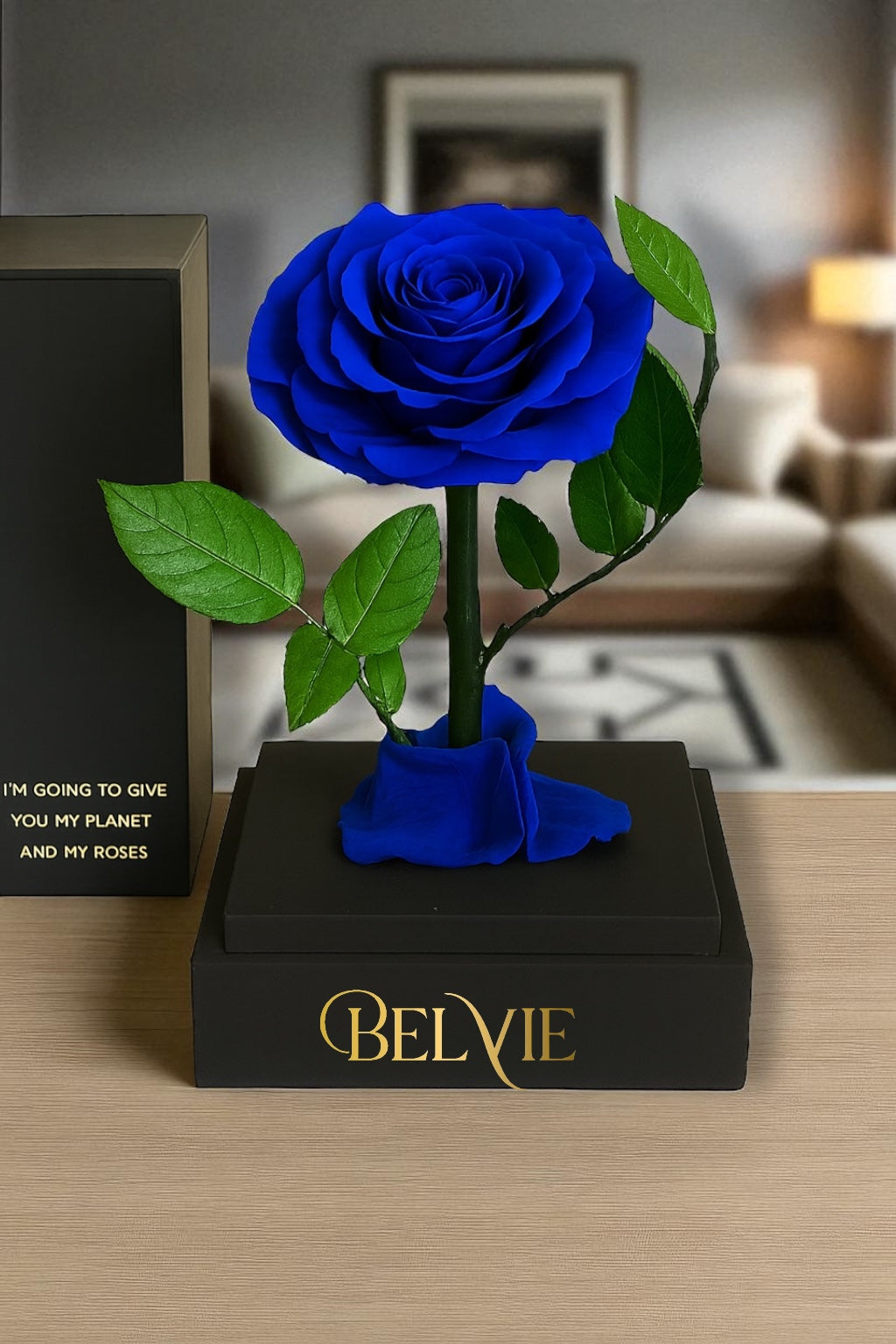 Rose éternelle bleue BELVIE sur socle noir