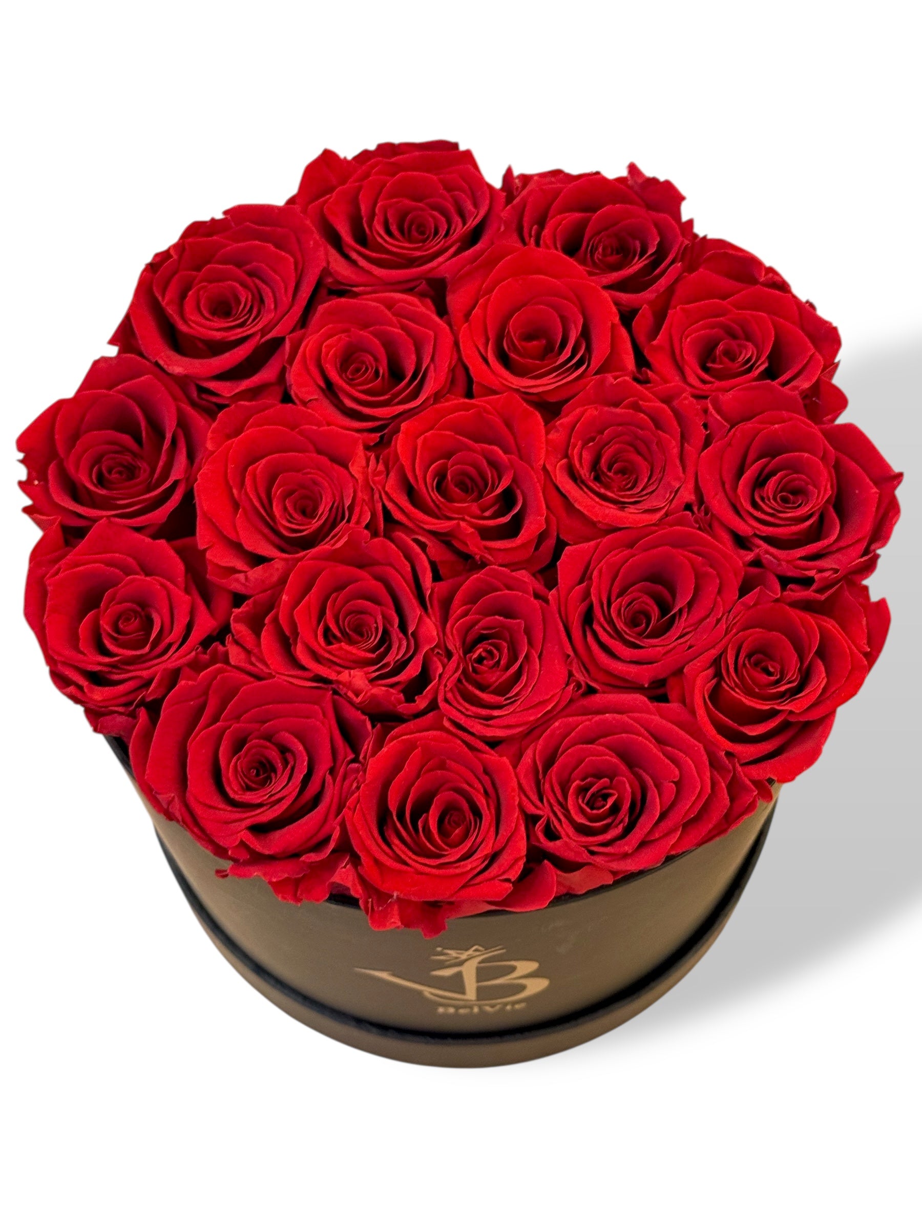 Rose éternelle Rouge