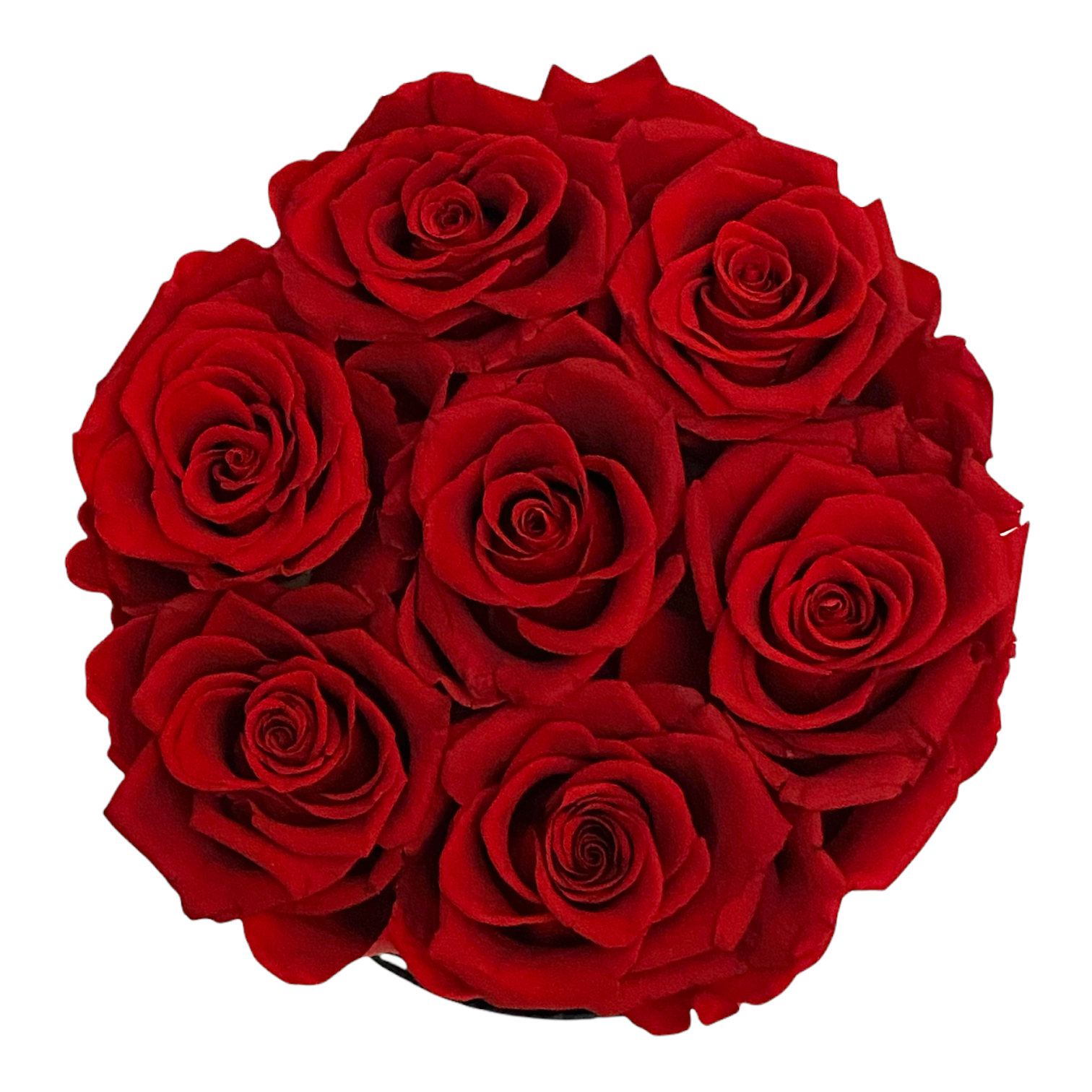 Coffret rond de roses stabilisées –boîte noire
